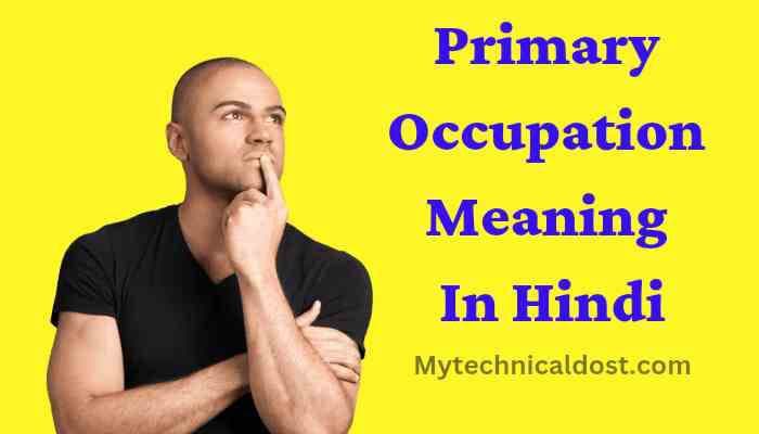 primary-occupation-meaning-in-hindi