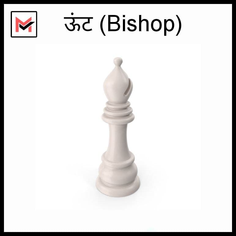 6 Chess pieces name in Hindi and English  शतरंज के मोहरे के नाम हिंदी में