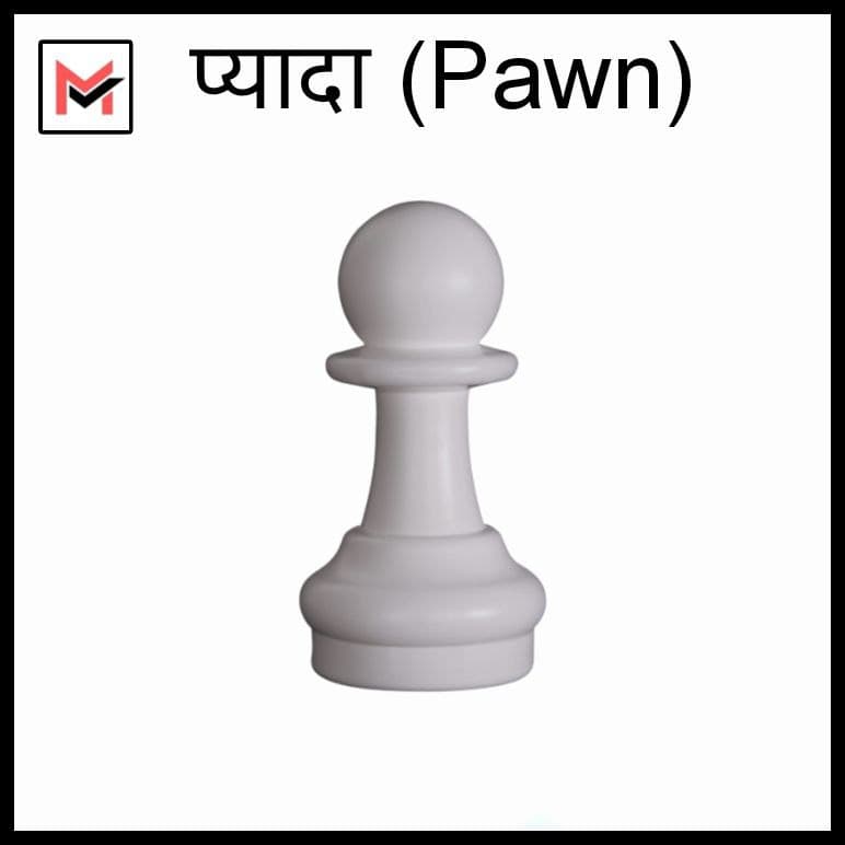 6 Chess pieces name in Hindi and English  शतरंज के मोहरे के नाम हिंदी में
